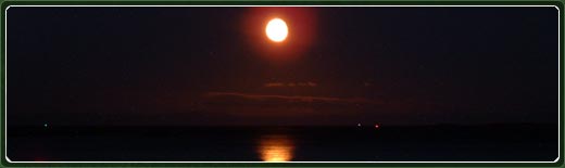 Moonlight Boat Trips